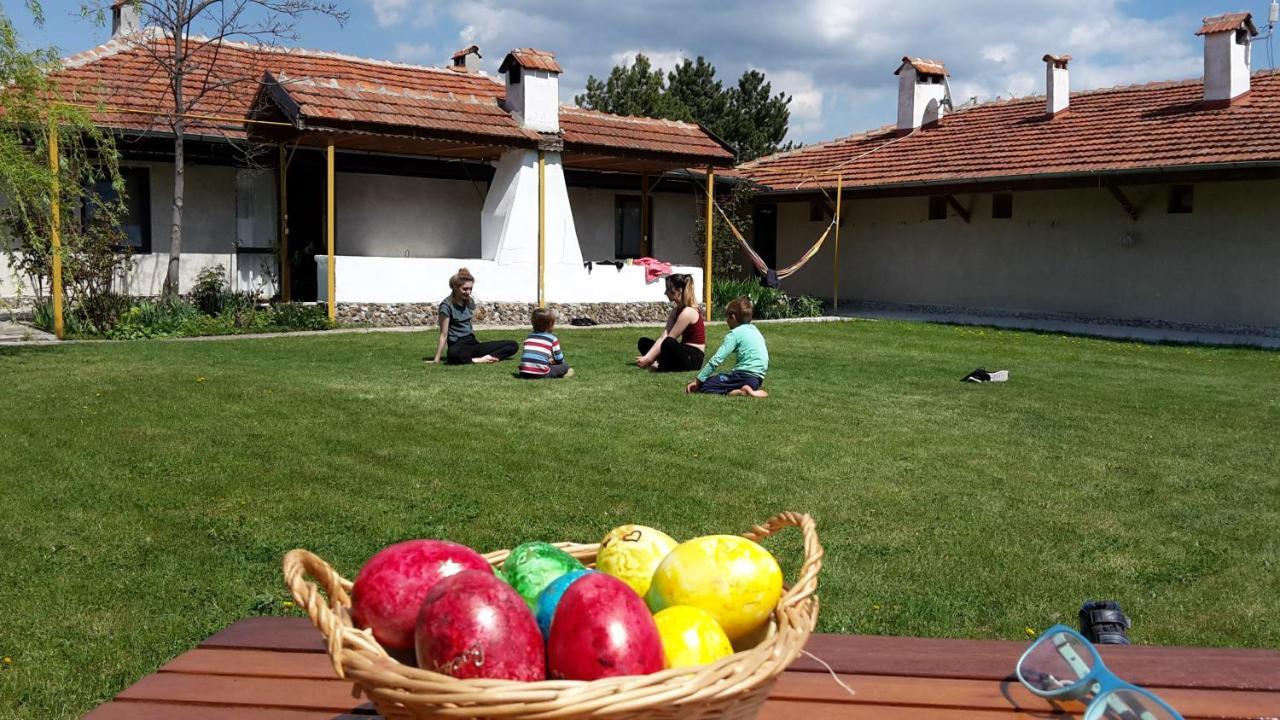 Family Hotel Belvedere Dŭlgopol Exteriér fotografie