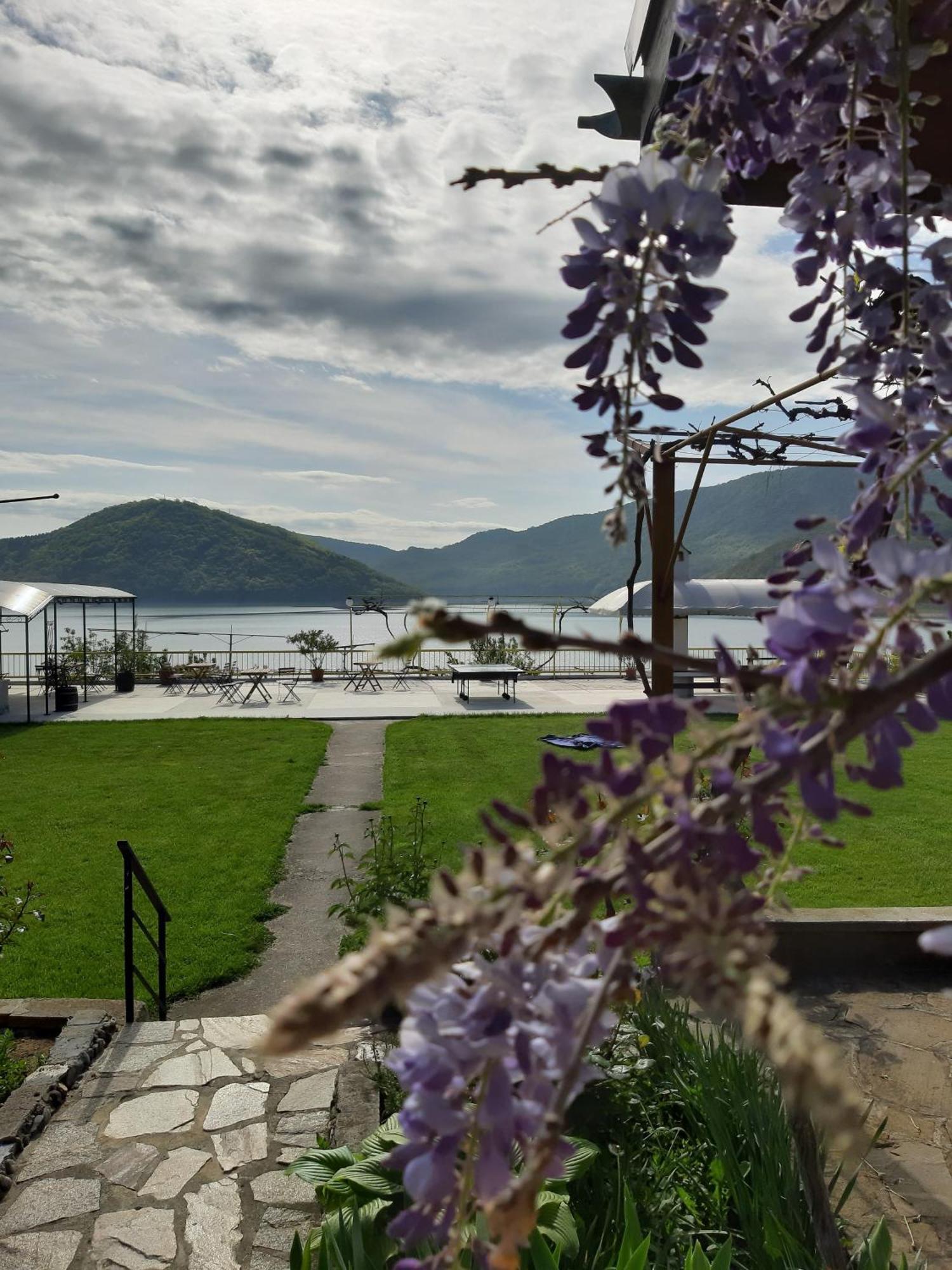 Family Hotel Belvedere Dŭlgopol Exteriér fotografie
